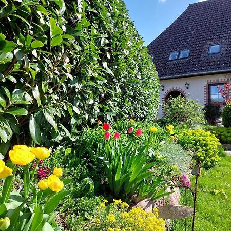 Klosterblick Bad Doberan Exteriör bild