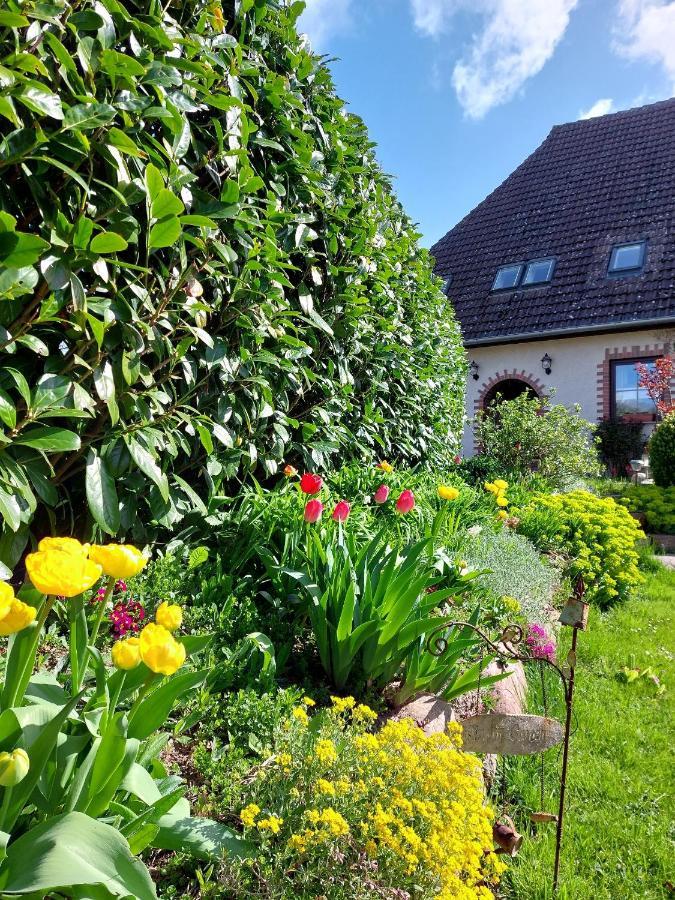 Klosterblick Bad Doberan Exteriör bild