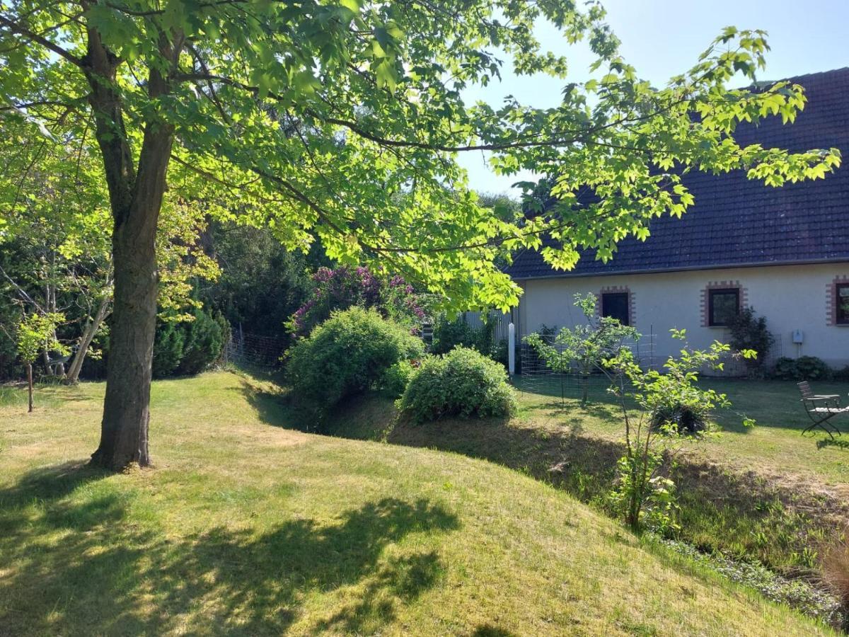 Klosterblick Bad Doberan Exteriör bild