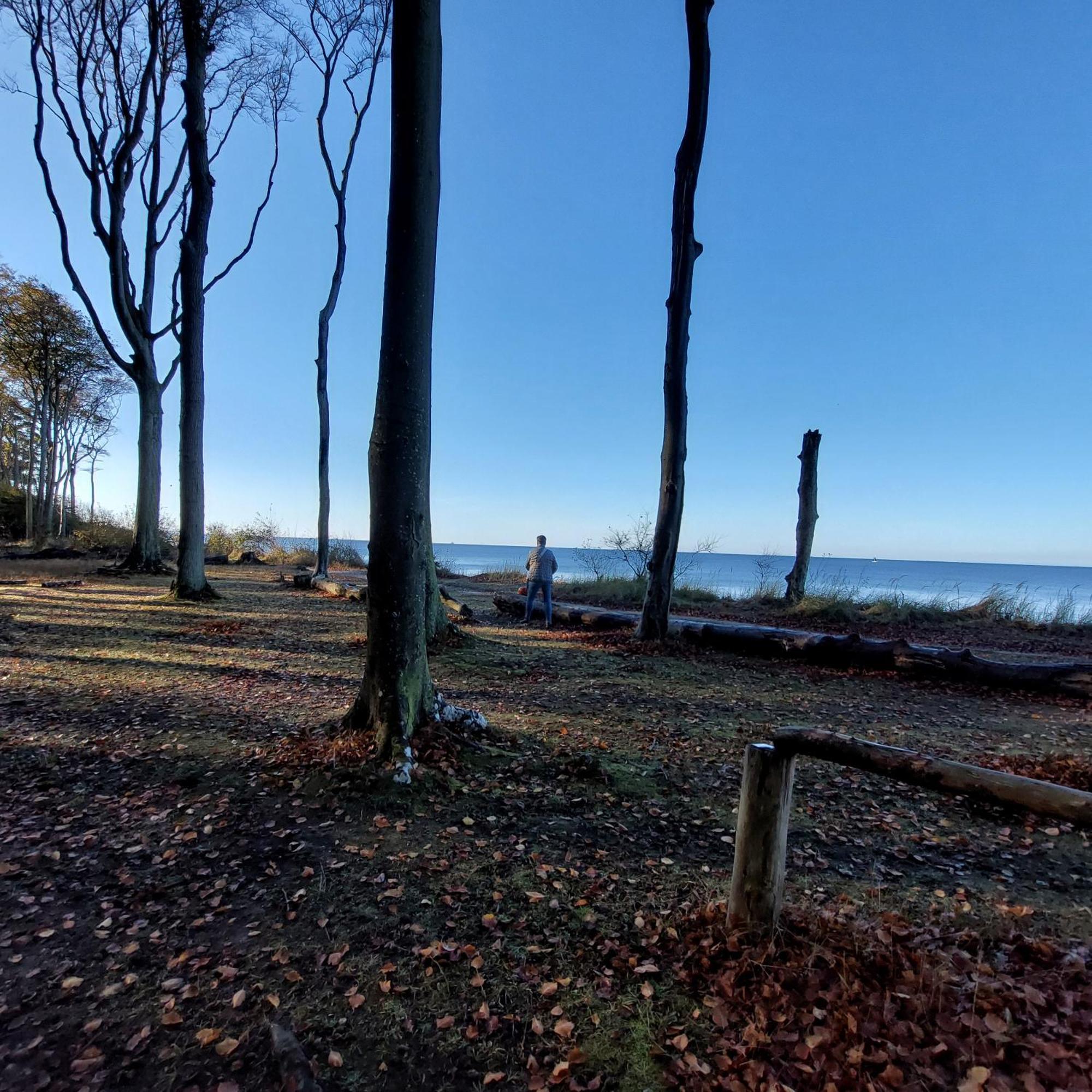Klosterblick Bad Doberan Exteriör bild